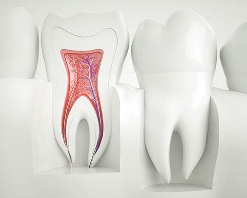 Animation of the inside of a tooth